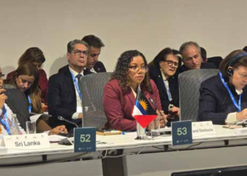Climate Change Ambassador Ruleta Camacho attends Ministerial Meeting at COP29